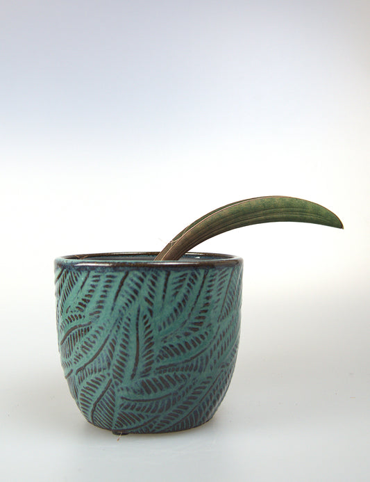 Sansevieria Pink Bat